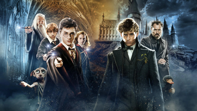 Harry-Potter Bulma-shop