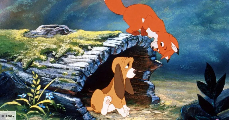 Rox-Roucky Bulma-shop