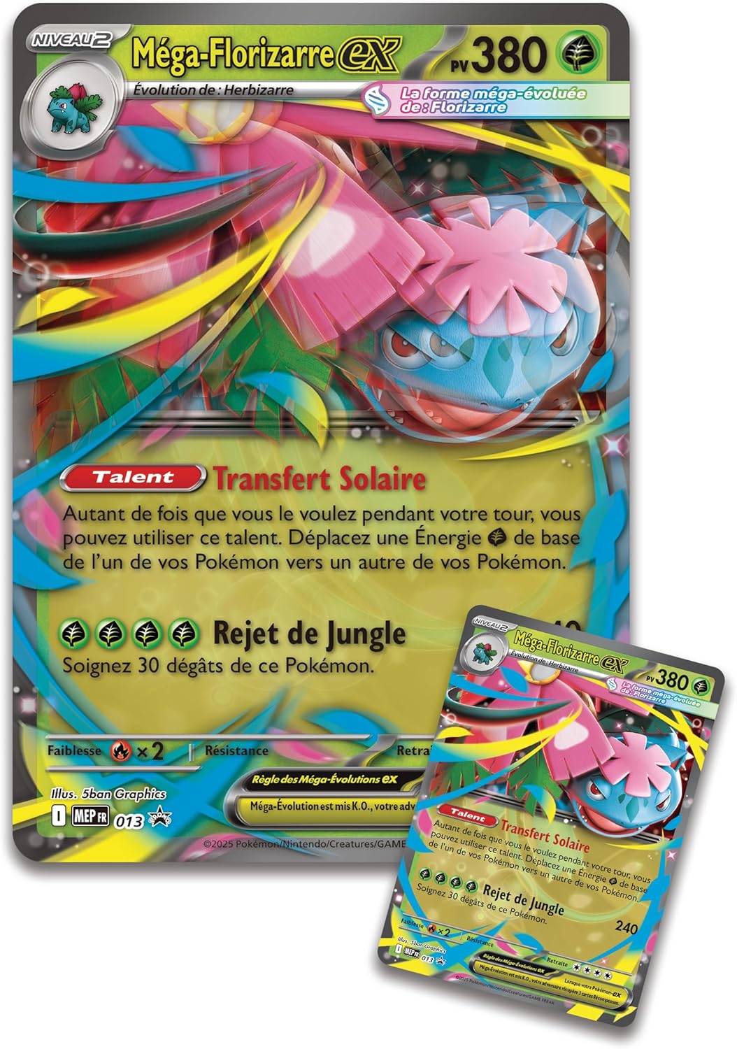 Pokémon : Collection Premium Méga-Florizarre-ex TCGDistribution