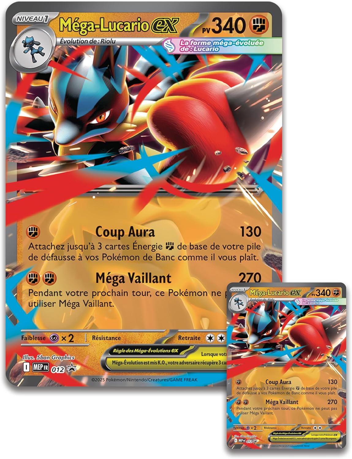Coffret Pokémon Mega Lucario EX TCGDistribution