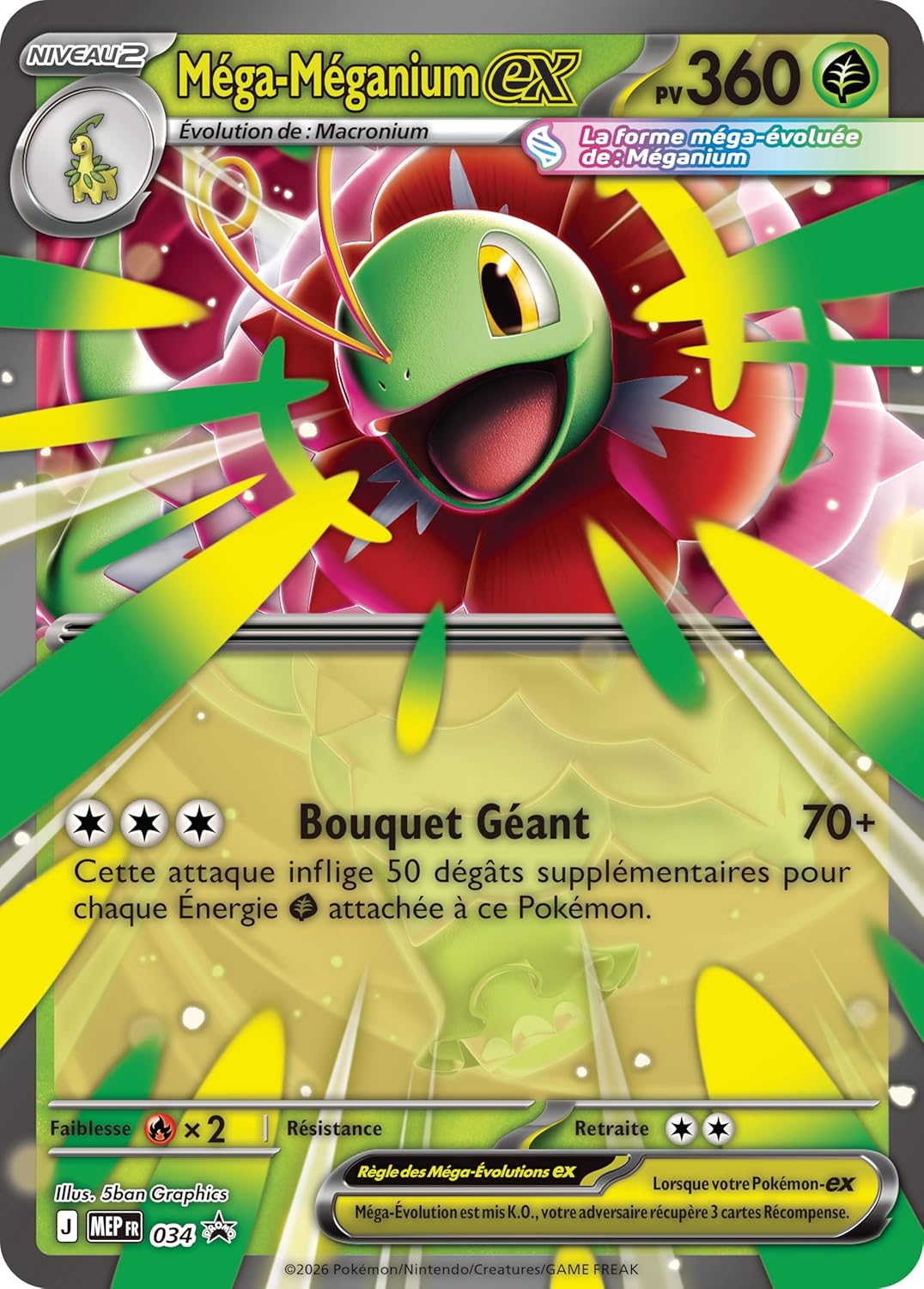 Pokémon FR: Coffret Méga-Évolution – Héros Transcendants – Méga-Méganium-ex pokémon compagny