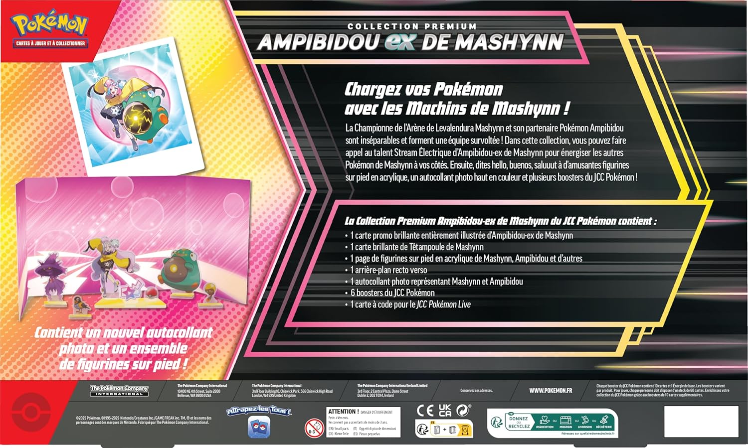 Pokémon: Collection Premium Ampibidou-ex de Mashynn TCGDistribution