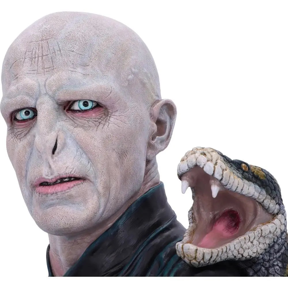 Buste Lord Voldemort bems