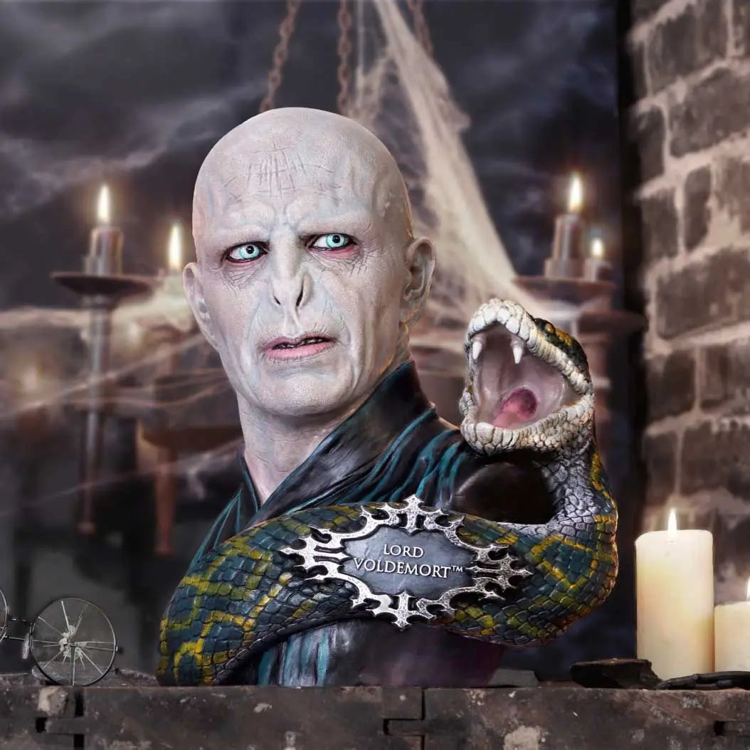 Buste Lord Voldemort bems