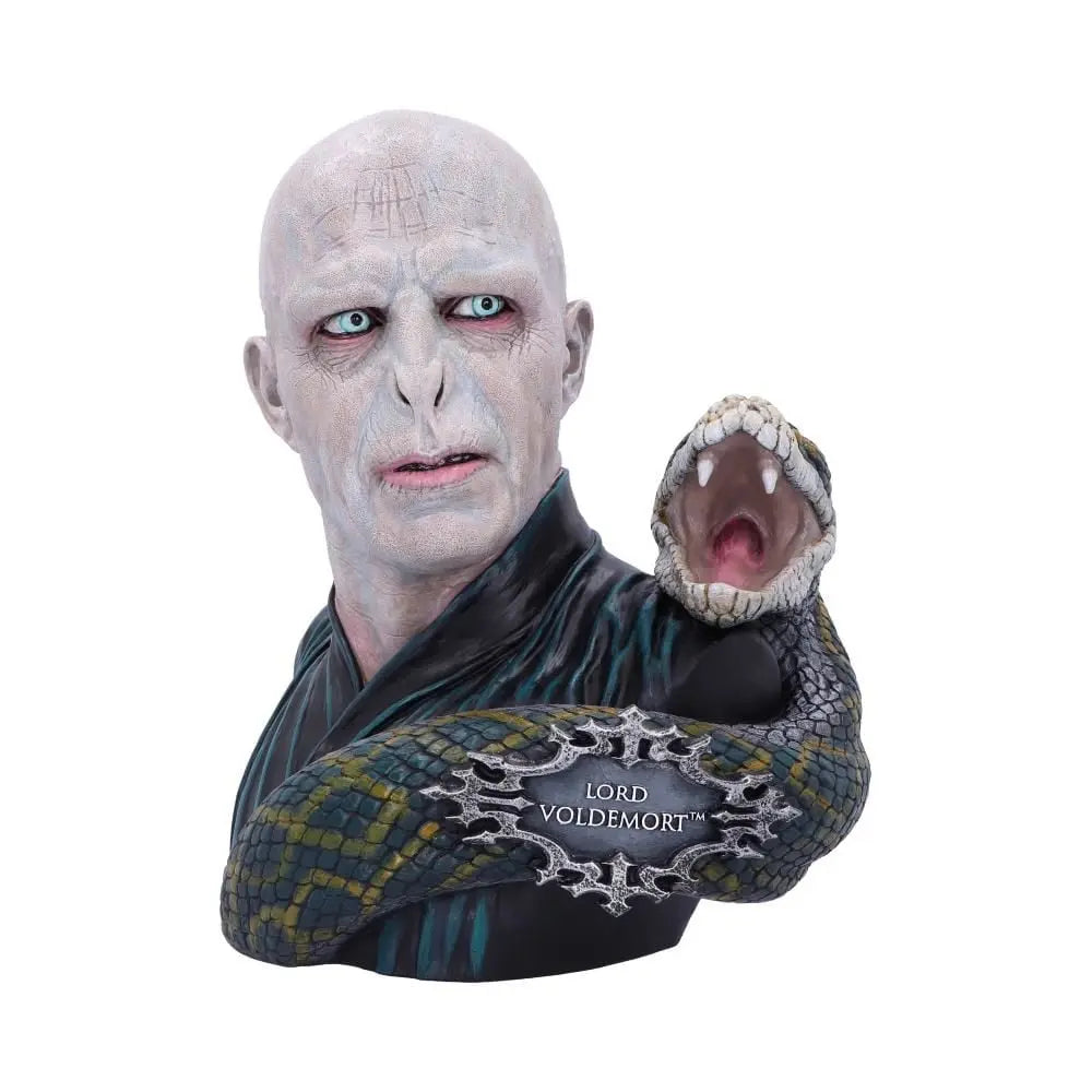 Buste Lord Voldemort bems