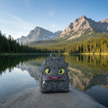 DRAGONS - Krokmou "Cosplay" - Mini Sac à dos LoungeFly Loungefly