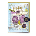 HARRY POTTER - Enseigne Olivanders - Carte de Voeux avec Pin's bems